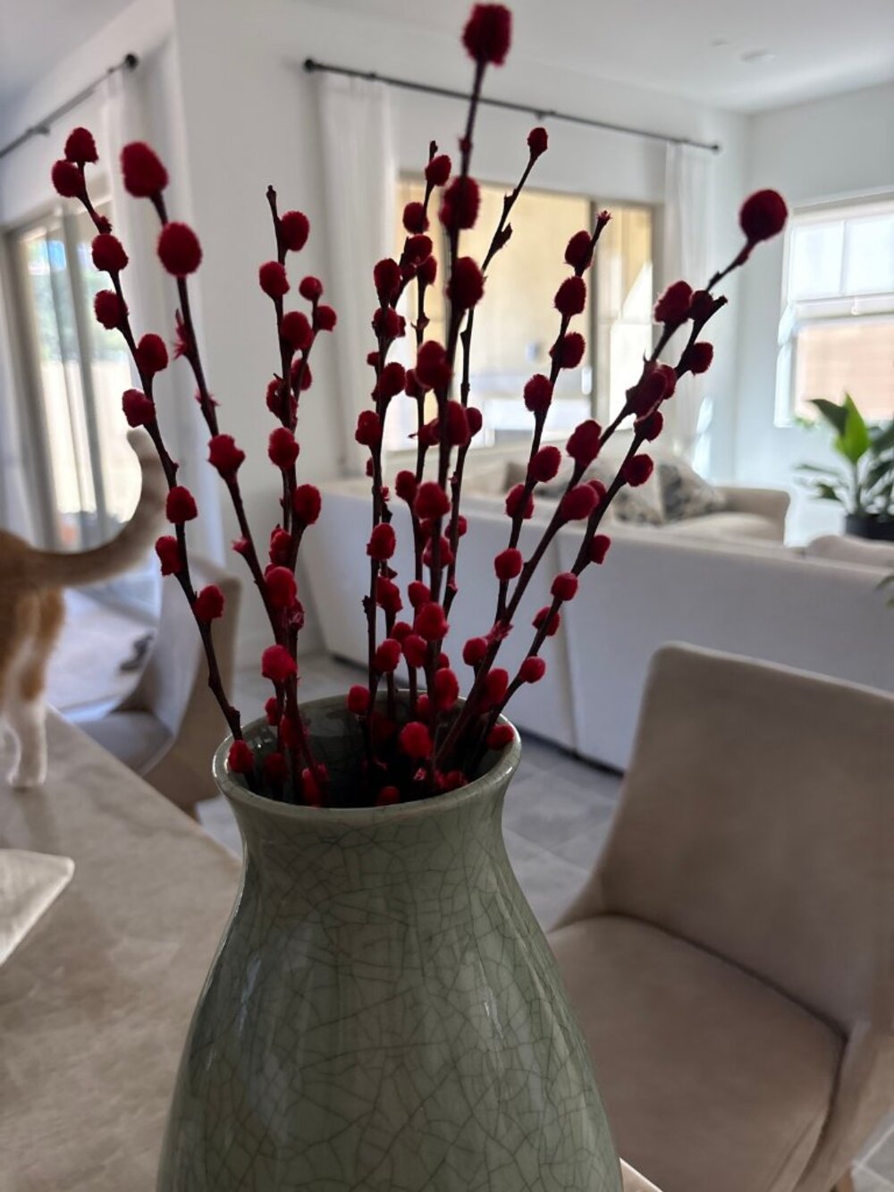 Red Silver Willow Branches 40 Stems Dried Silver Willow Vase Decor Chinese New Y